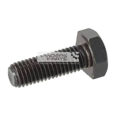 ZESKANTBOUT M10X30-SD-HOCHWARM